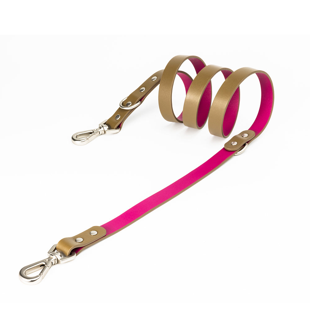 N series pet leather leash