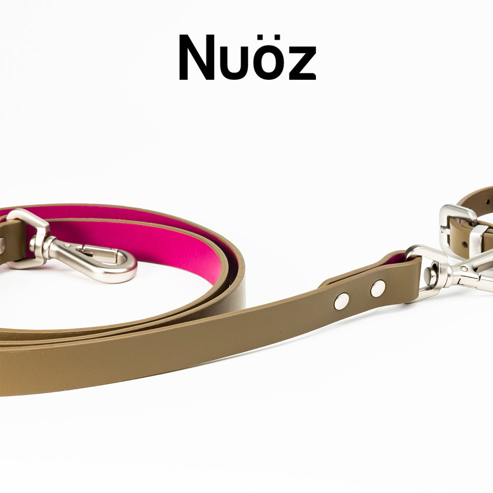 N series pet leather leash