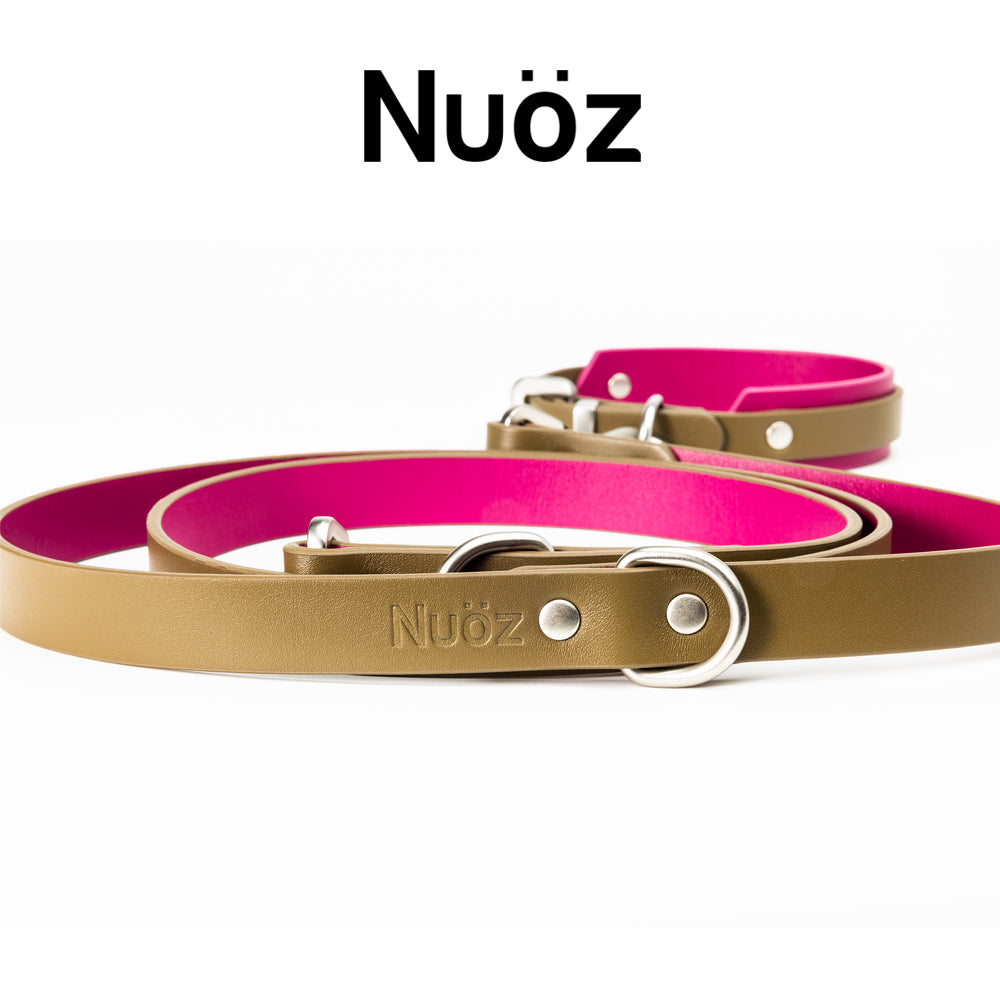 N series pet leather leash