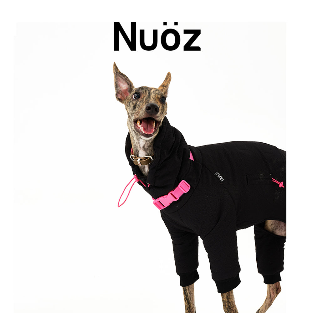 N series - bomber jacket
