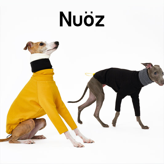 N Series - Colourful Detachable Collar Sweatshirt