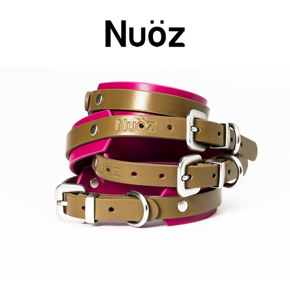 N series pet leather collar