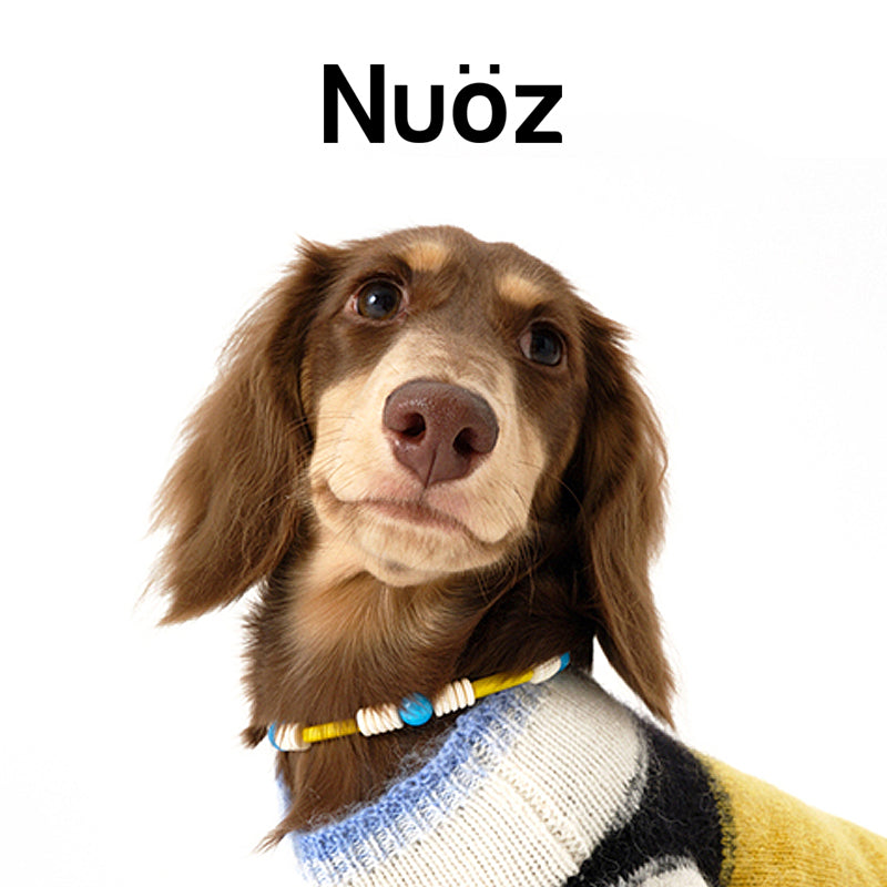 N series - pet beaded necklace
