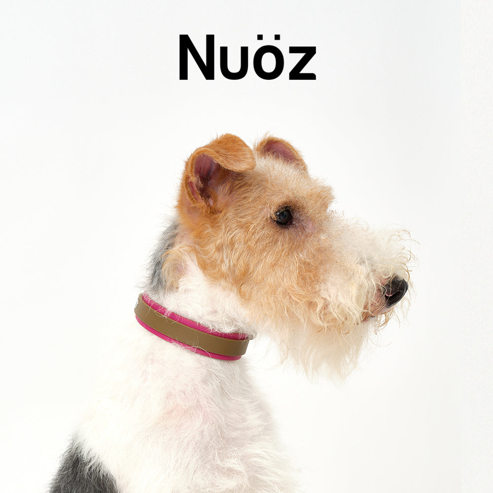 N series pet leather collar