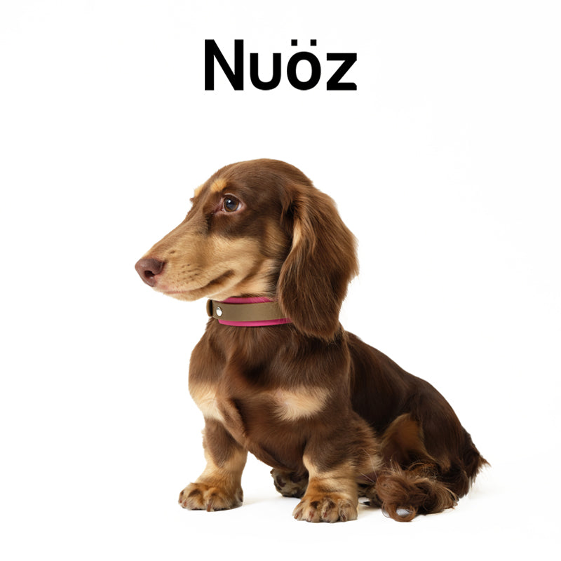 N series pet leather collar