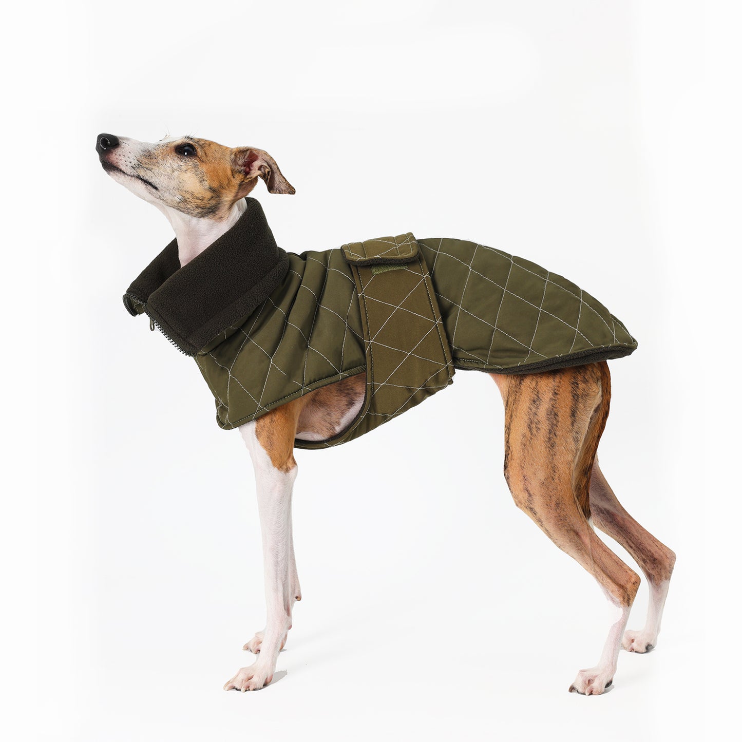 N series - cloak jacket