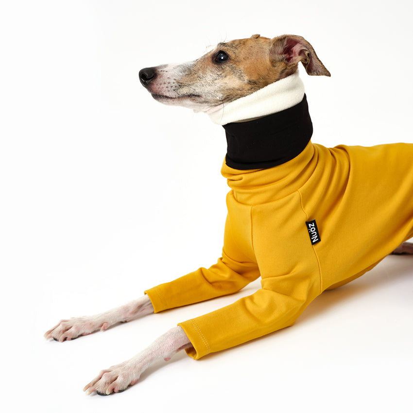 N Series - Colourful Detachable Collar Sweatshirt