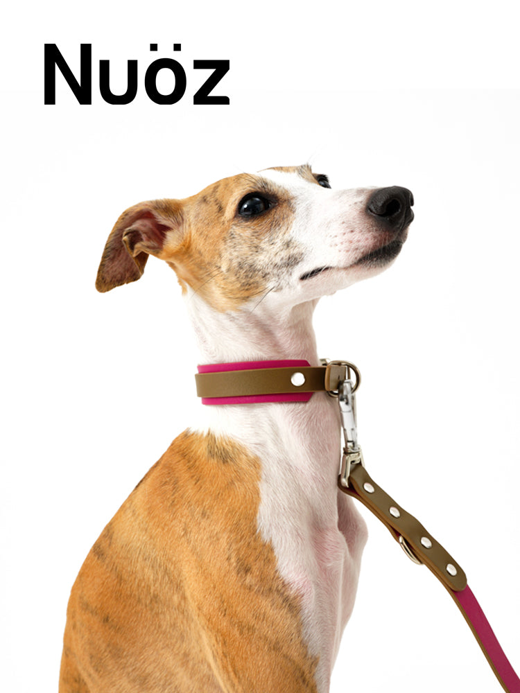 N series pet leather leash