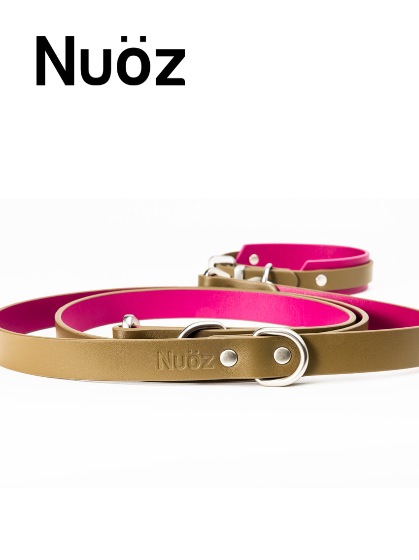 N series pet leather leash