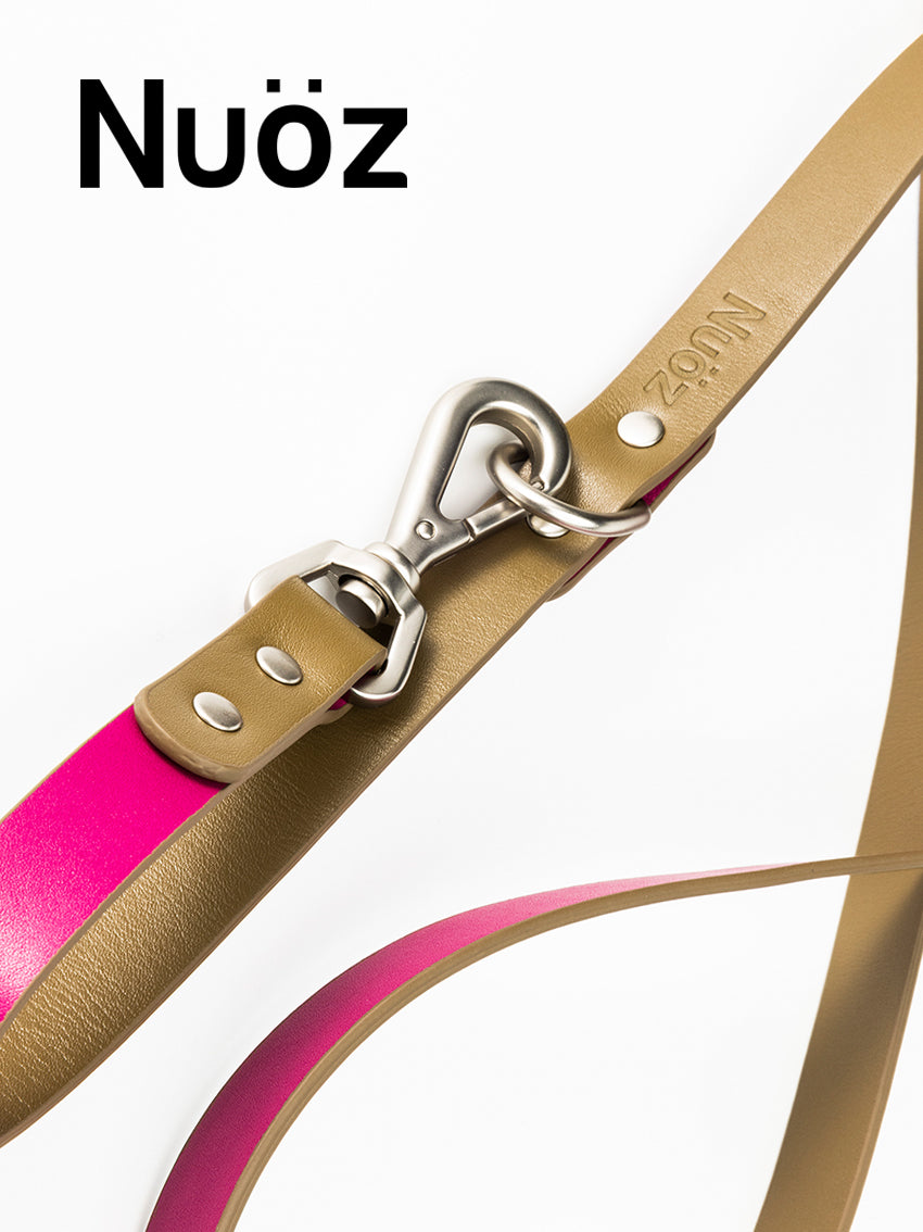 N series pet leather leash