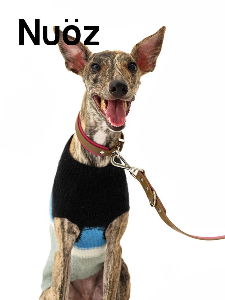 N series pet leather leash