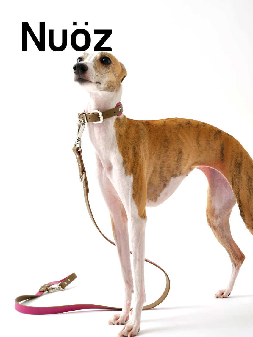 N series pet leather leash