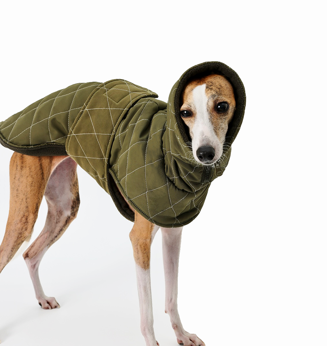 N series - cloak jacket