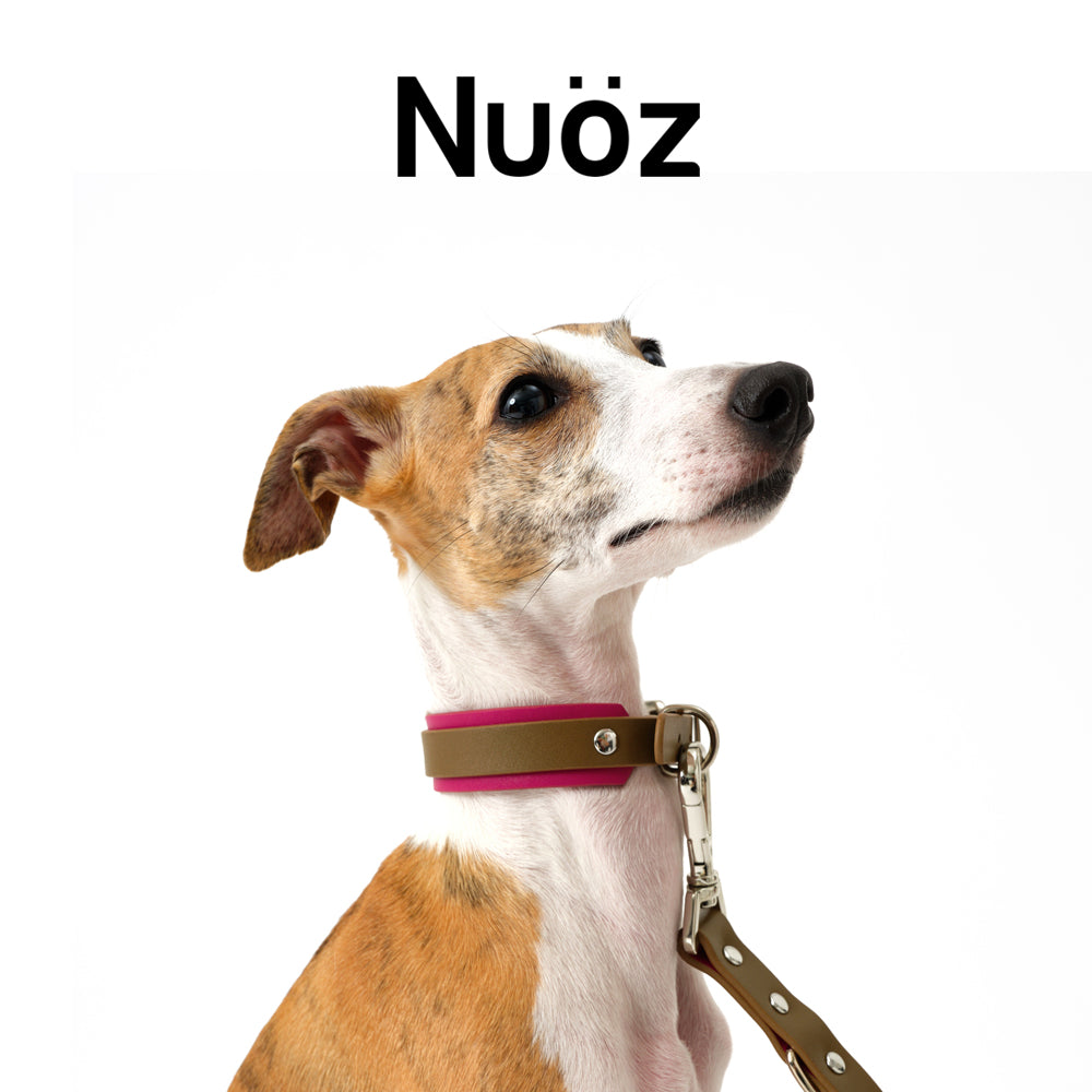 N series pet leather collar