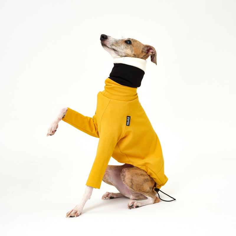 N Series - Colourful Detachable Collar Sweatshirt