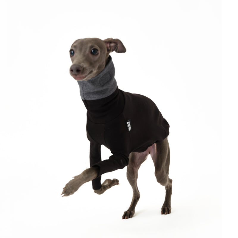 N Series - Colourful Detachable Collar Sweatshirt