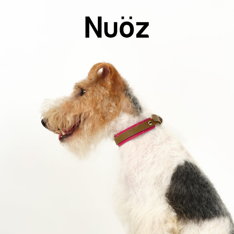 N series pet leather collar