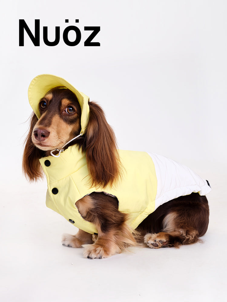 Nuoz pet hats 2026 new product
