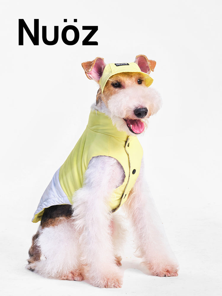 Nuoz pet hats 2026 new product