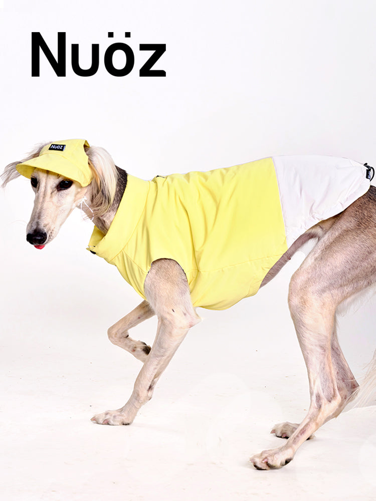 Nuoz pet hats 2026 new product