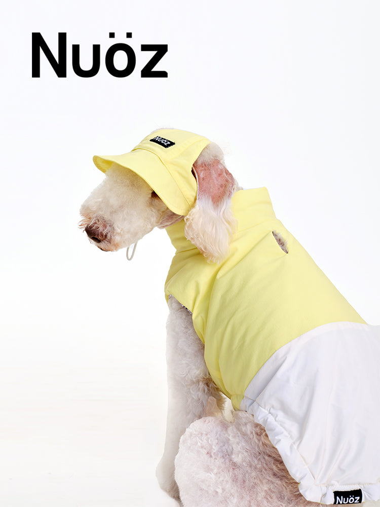 Nuoz pet hats 2026 new product