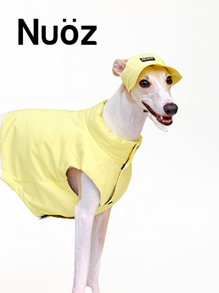 Nuoz pet hats 2026 new product