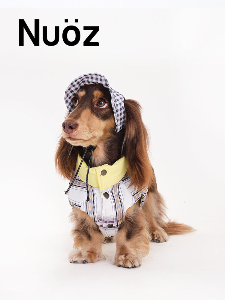 Nuoz pet hats 2026 new product