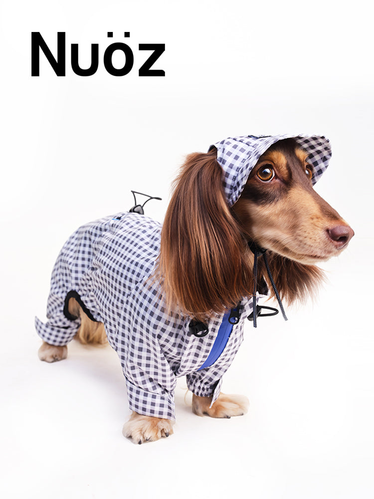 Nuoz pet hats 2026 new product